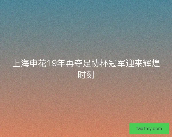 上海申花19年再夺足协杯冠军迎来辉煌时刻