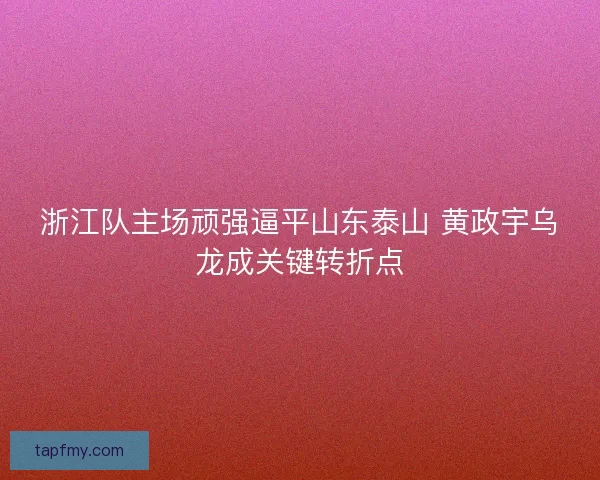 浙江队主场顽强逼平山东泰山 黄政宇乌龙成关键转折点 浙江队主场顽强逼平山东泰山 黄政宇乌龙成关键转折点